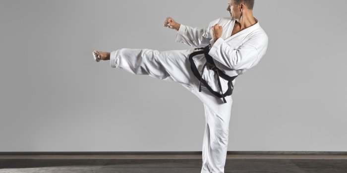 1332x850 Wallpaper old, man, pose, kenpo karate images for desktop, section спорт -  download