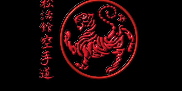 1024x1024 Shotokan Karate Wallpapers - Top Free Shotokan Karate Backgrounds -  WallpaperAccess