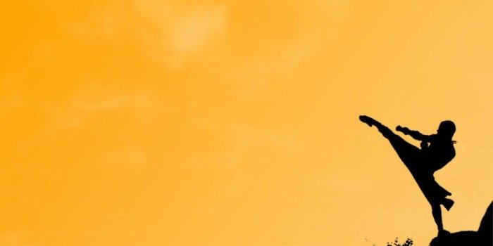 1024x768 Martial Arts Wallpapers