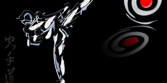 1280x1024 49+] Karate Wallpapers - WallpaperSafari