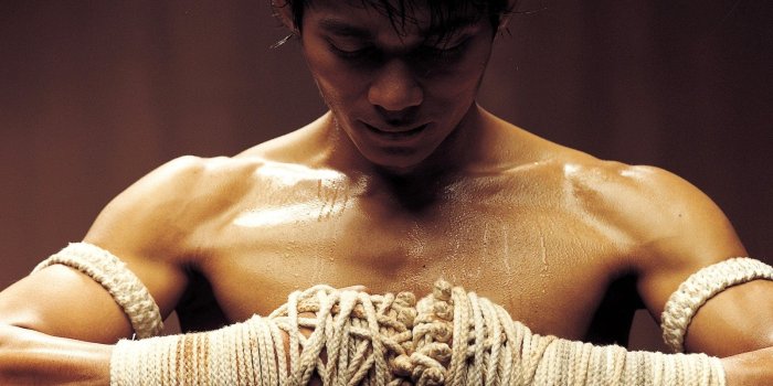 1600x1200 40+ Martial Arts HD Wallpapers and Backgrounds