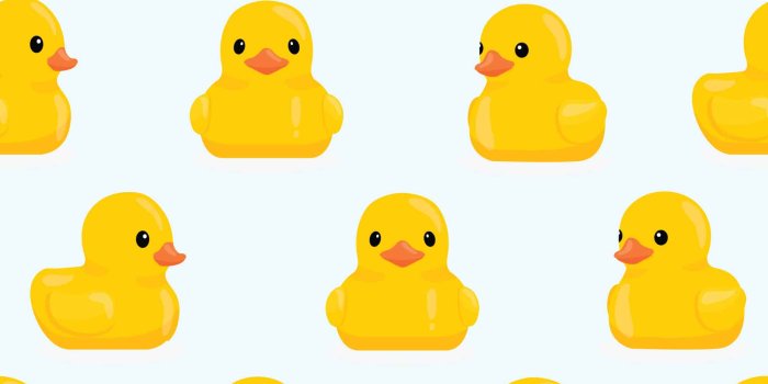 2000x2000 Funky duck wallpaper - Peel and Stick or Non-Pasted