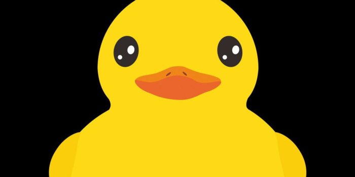 1284x2778 Best Anaheim ducks iPhone HD Wallpapers - iLikeWallpaper