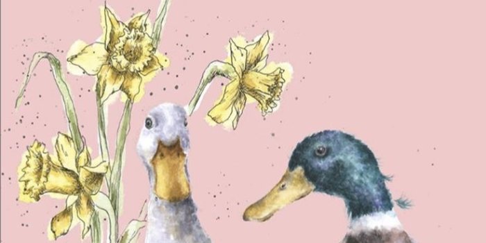 736x1309 Duck Phone Wallpaper | Cute doodle art, Watercolour inspiration, Duck  wallpaper