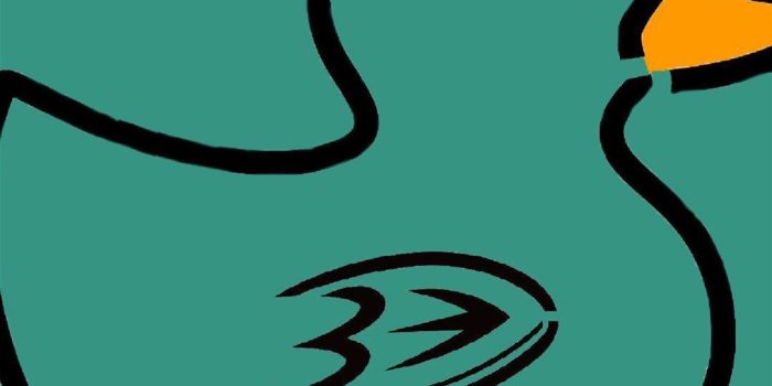 1080x2340 anaheim ducks iPhone Wallpapers Free Download