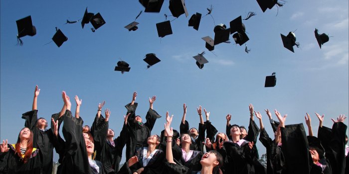 3000x2000 Newly Graduated People Wearing Black Academy Gowns Throwing Hats Up in the  Air · Free Stock Photo