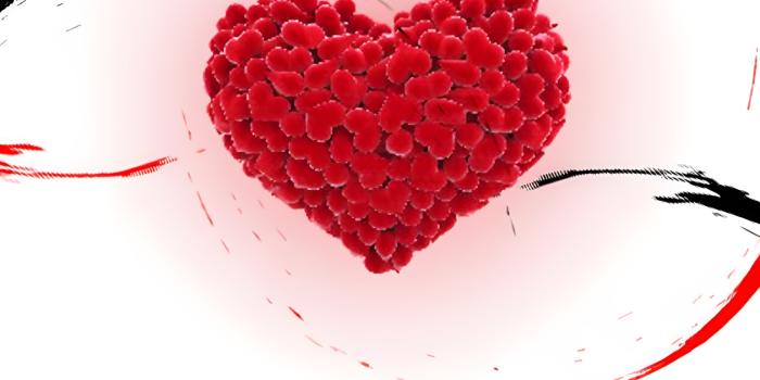 1260x2560 Dad Wallpapers Download | MobCup