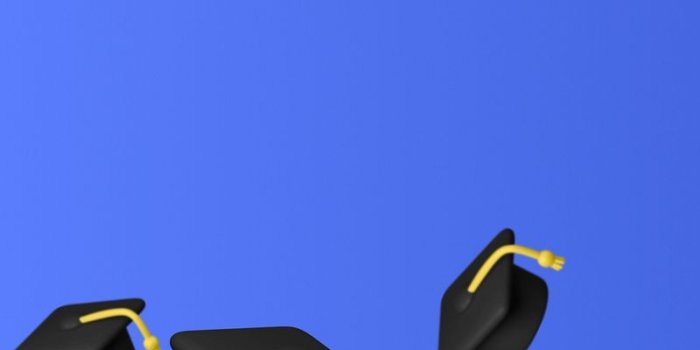 800x1422 Graduation Wallpaper Images | Free Photos, PNG Stickers, Wallpapers &  Backgrounds - rawpixel