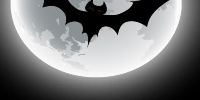 1235x1427 Bat Wallpaper - NawPic