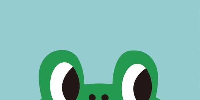 700x1313 Frog Wallpaper - NawPic