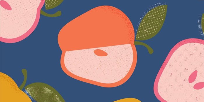 1125x2436 great teacher onizuka iPhone Wallpapers Free Download