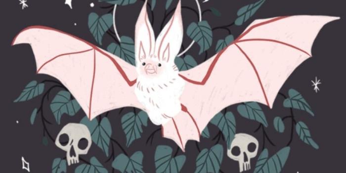 960x1707 bat wallpaper | Funky art, Cute art, Art inspiration