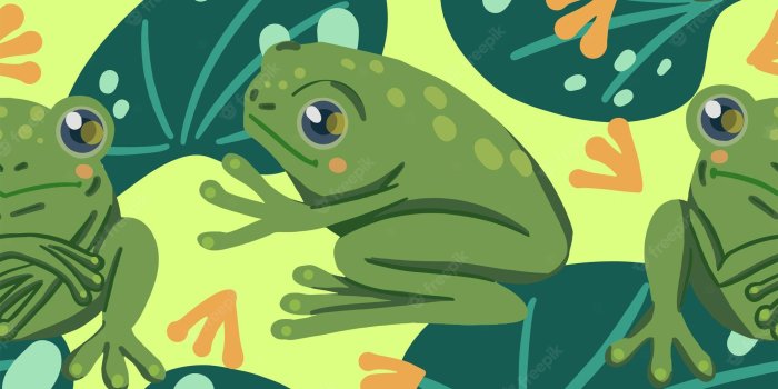 2000x2000 Page 24 | Frog Wallpaper Images - Free Download on Freepik