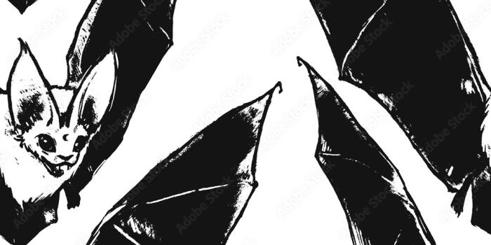 1000x1000 Repeated pattern. Seamless texture. Flying bat. Little vampire. Gothic  illustration. Halloween style. Drawn bat. Can be used like wallpaper,  wrapping, background, or your design. Stock Vector | Adobe Stock