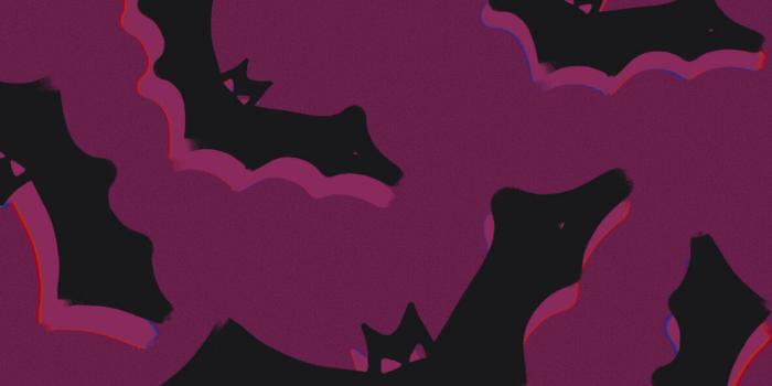 1183x2560 Halloween Bat Wallpapers - Halloween Aesthetic Wallpapers for iPhone