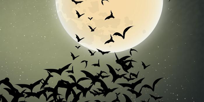 1920x1200 50+ Scary Halloween 2019 Wallpapers HD, Backgrounds, Pumpkins, Witches, Bats  & Ghosts - Designbolts