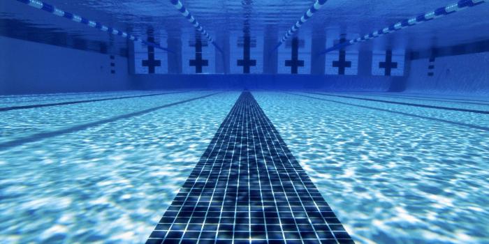 1920x1080 Swimming Wallpapers