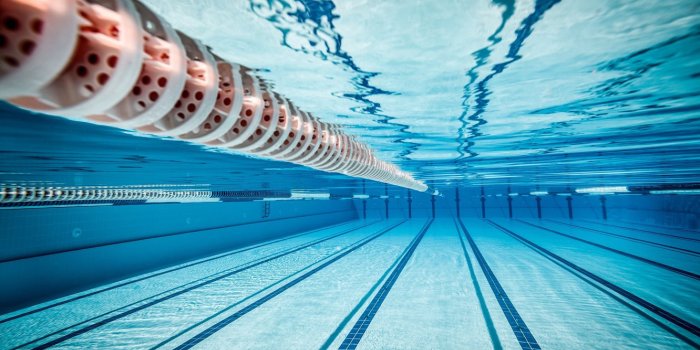 1332x850 Wallpaper sport, underwater, water, lines, reflection, swimming,  miscellanea, tiles, Swimming pool, olympic swimming pool images for  desktop, section разное - download