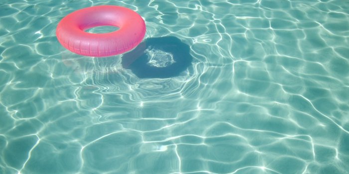 1280x804 The Simpsons Swimming wallpapers | The Simpsons Swimming stock photos