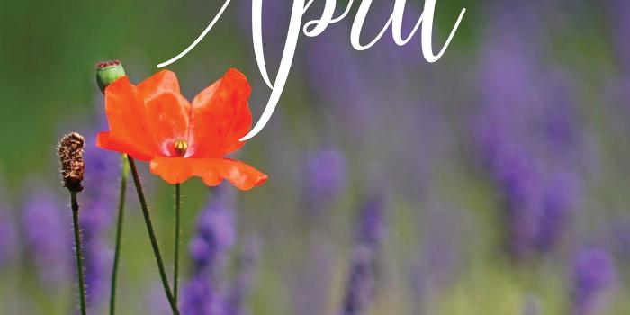 1579x2890 April 2019 Free Desktop Calendar/Wallpaper from Marmalead