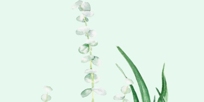 789x1400 downloads-april-wallpapers-2018-sb-30 | Dress Decoded