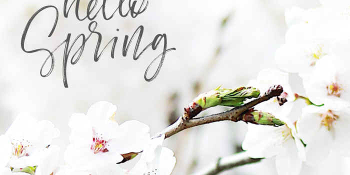 1125x2436 Free Phone Wallpapers : April - Corrie Bromfield