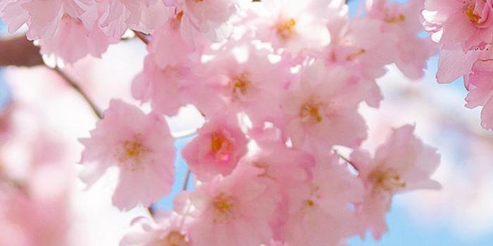 1426x3113 April iPhone Wallpapers - Operation Amplify