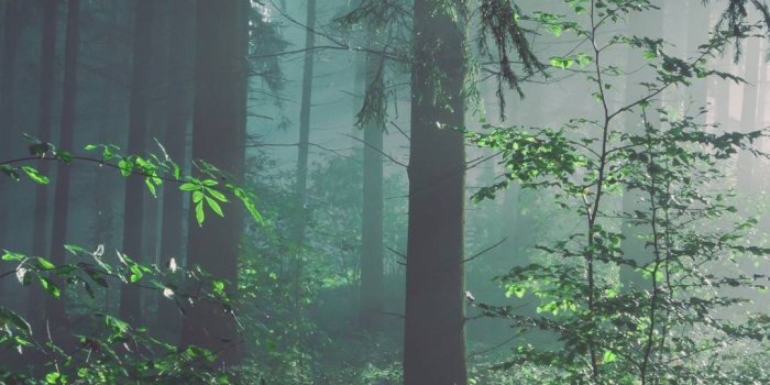 1080x2400 1080x2400 Nature Wallpapers - Top Free 1080x2400 Nature Backgrounds -  WallpaperAccess