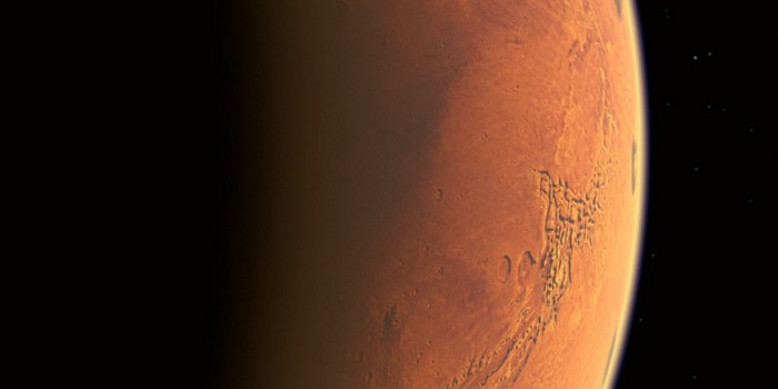 1080x2400 1080x2400 HD Wallpaper - 195