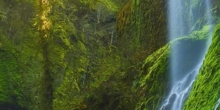 1080x2400 1080x2400 Hd Wallpaper – S135 - Chill-out Wallpapers