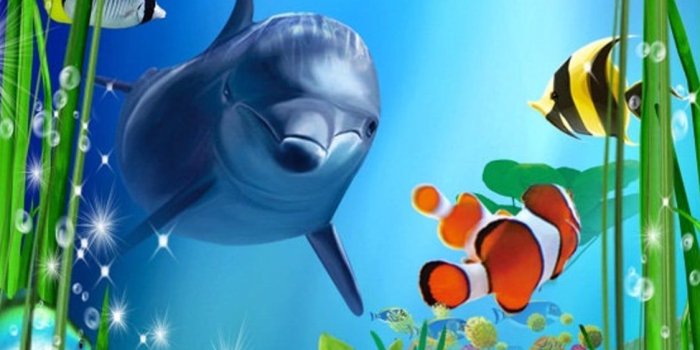 1125x2436 Best Oceanic dolphins iPhone HD Wallpapers - iLikeWallpaper