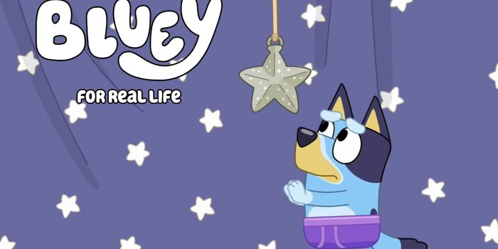 2048x1152 Bluey Wallpaper | Wallpaper, Cute wallpapers, Hello kitty items