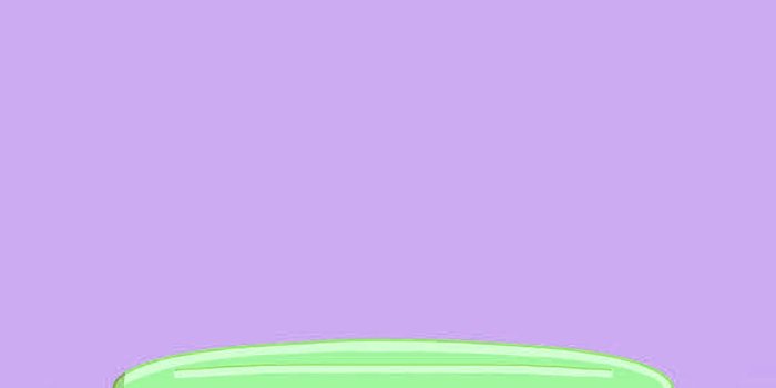 1080x1920 Bluey Wallpaper - NawPic