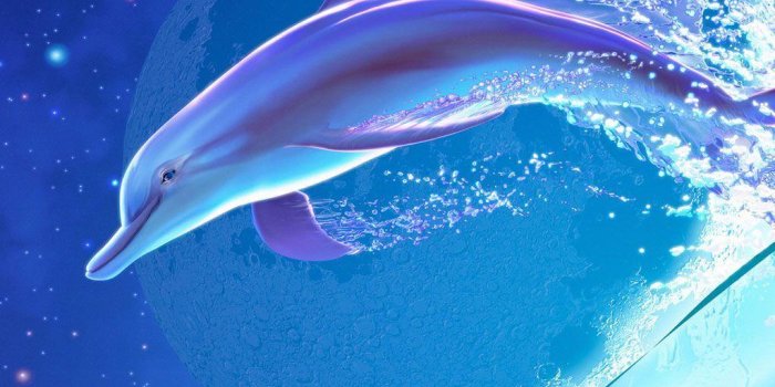 1024x768 Cute Dolphin Wallpapers - Top Free Cute Dolphin Backgrounds -  WallpaperAccess