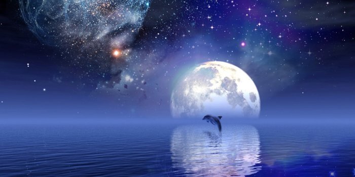1920x1080 Dolphins Making a Heart at Sunset | Dolphin Heart Wallpaper Wallpaper  Dolphin Water | Dolphins | Wallpaper