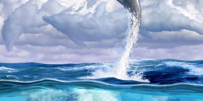 1080x1920 Dolphin Wallpapers - Top 30 Best Dolphin Wallpapers [ HQ ]