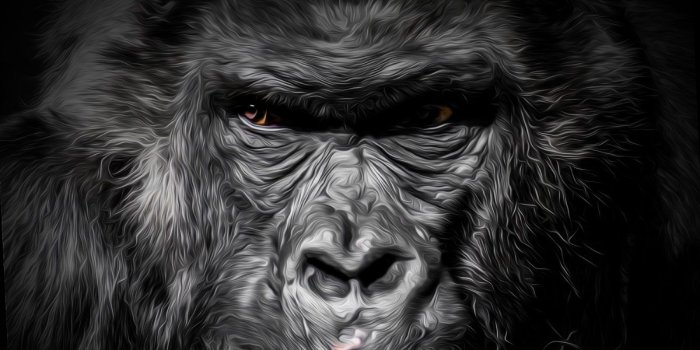 1200x1200 Drawn Gorilla - Photo Wallpaper