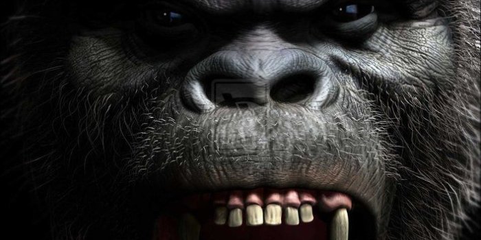 707x1129 Pin en All WallPaper