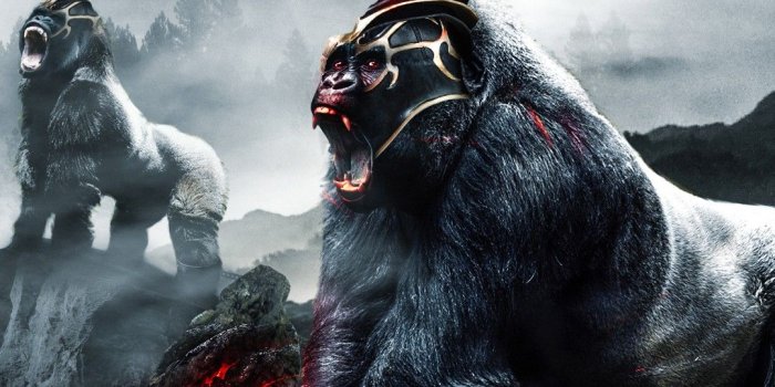 1080x1920 Free download Misc Gorilla Warriors 4K wallpapers Gorilla wallpaper Gorilla  [1080x1920] for your Desktop, Mobile & Tablet | Explore 23+ Gorrilla  Wallpapers |