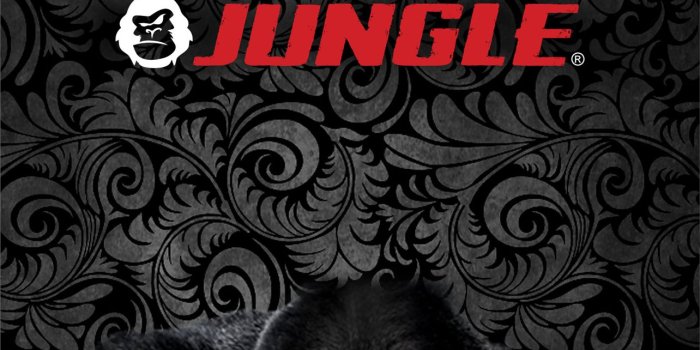 1284x2778 Best Gorilla iPhone HD Wallpapers - iLikeWallpaper