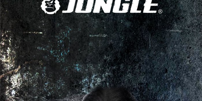 1284x2778 gorilla iPhone Wallpapers Free Download