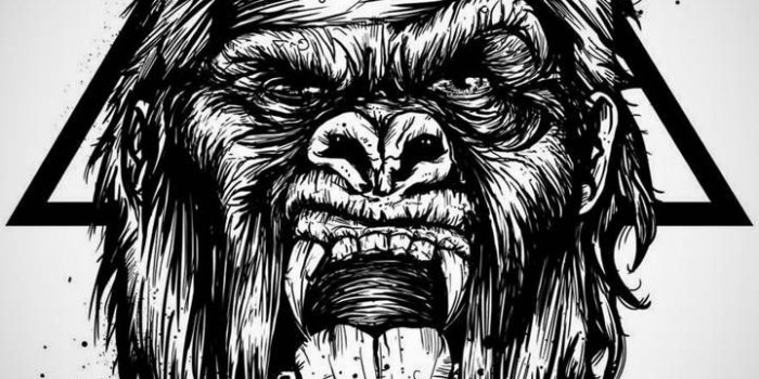 720x1280 Gorilla Art Wallpapers - Top Free Gorilla Art Backgrounds - WallpaperAccess