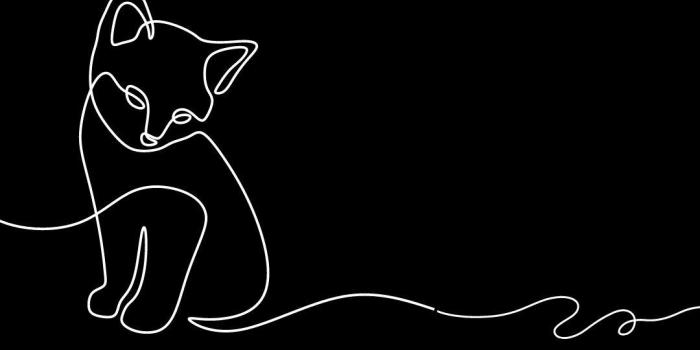 1080x1920 Wallpaper Phonk