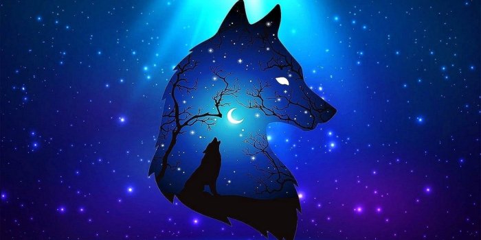 1600x900 Free Blue Wolf Wallpaper Downloads, [100+] Blue Wolf Wallpapers for FREE |  Wallpapers.com