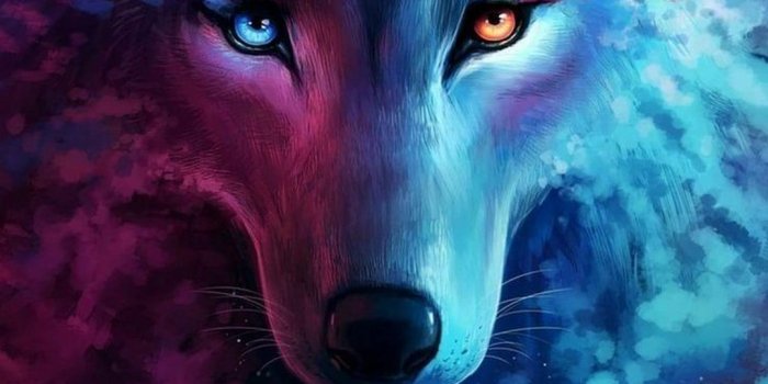 1080x1920 Free download 3d iPhone Wallpaper iPhone Wallpaper HD Cool Wolf [1080x1920]  for your Desktop, Mobile & Tablet | Explore 34+ Cool Wolf iPhone Wallpapers  | Cool Wolf Backgrounds, Cool Wolf Wallpapers, Cool
