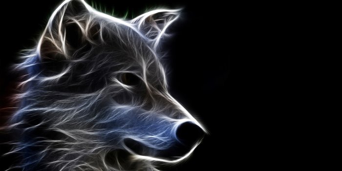 1920x1200 Neon Wolf Wallpaper (54+ images)