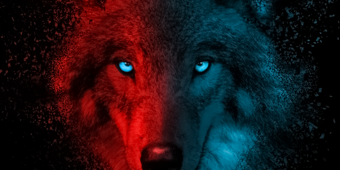 2048x1536 Wolf Wallpaper 4K, Scary, Gradient, Animals, #4779