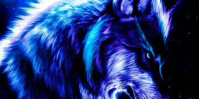 1920x3413 Cool Blue Wolf Wallpapers | Wolf wallpaper, Wolf with blue eyes, Wolf  background