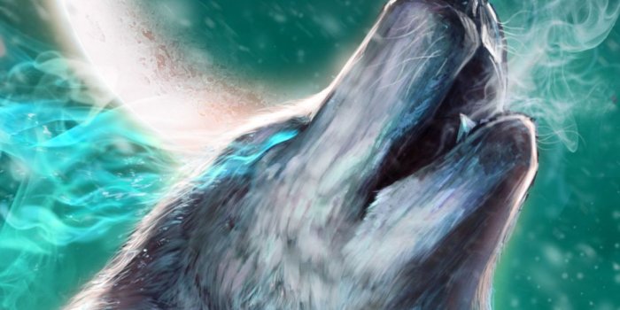 1080x1920 30+ Best Wolf HD Wallpapers [ Ultra HD ]