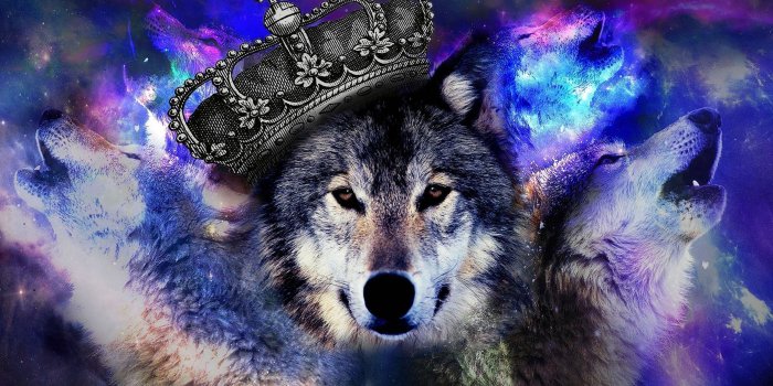 2824x1765 Cool Blue Wolf Wallpapers - Top Free Cool Blue Wolf Backgrounds -  WallpaperAccess